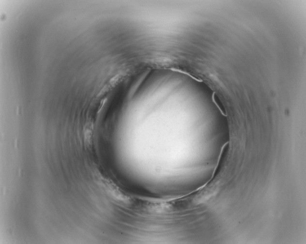 X0000088910576200706291532