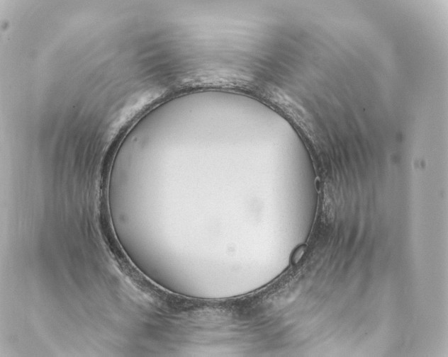 X0000088910578200706291532