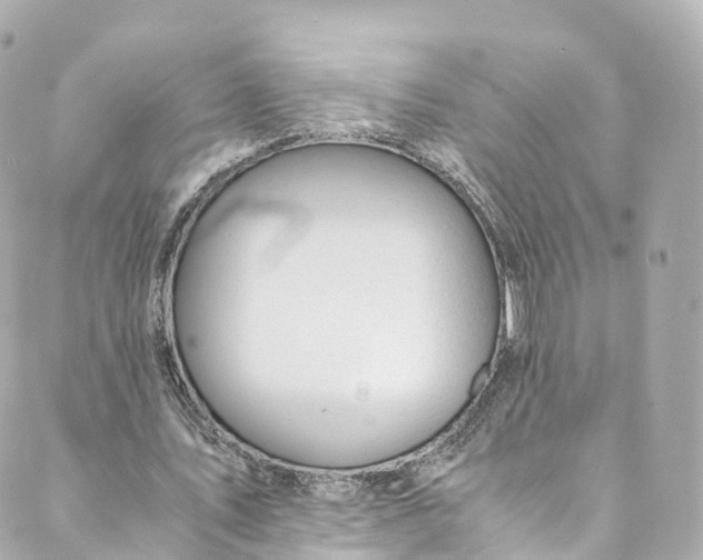 X0000088910579200706291532