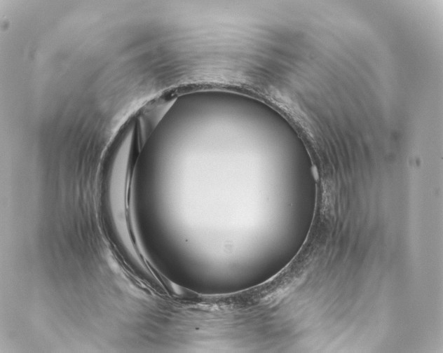 X0000088910580200706291532