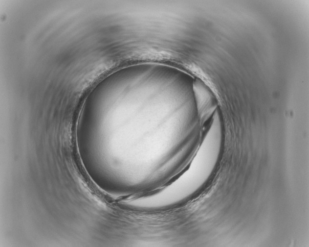 X0000088910581200706291532