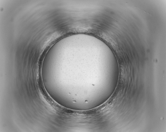 X0000088910582200706291532