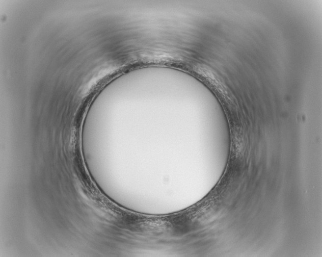 X0000088910583200706291531