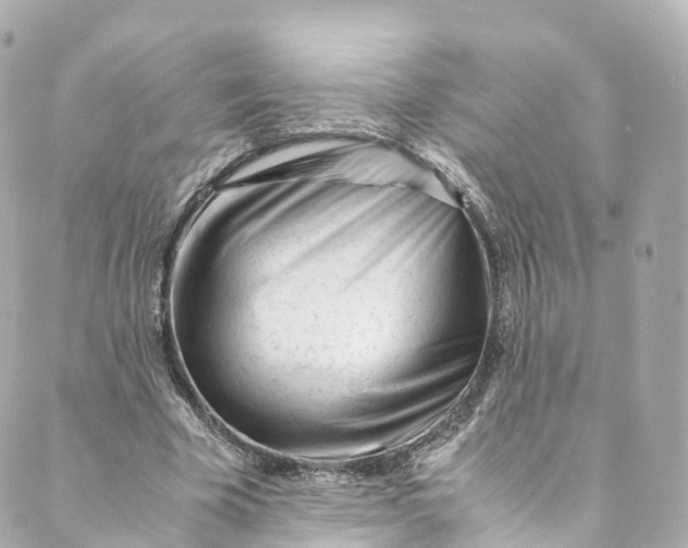 X0000088910585200706291531