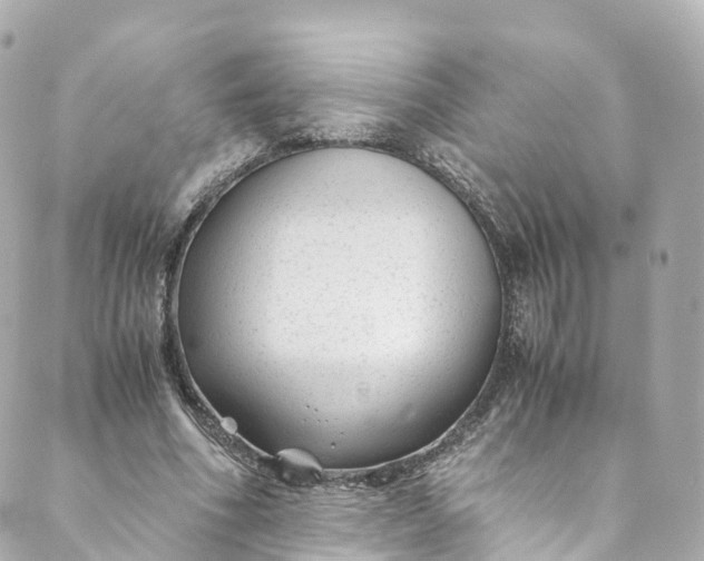 X0000088910586200706291531