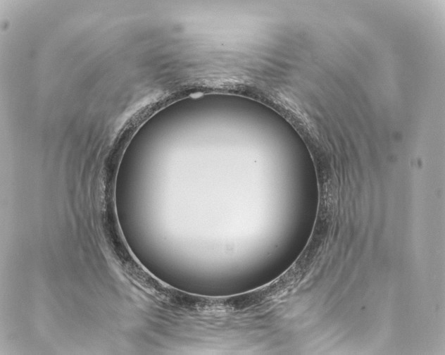 X0000088910587200706291531