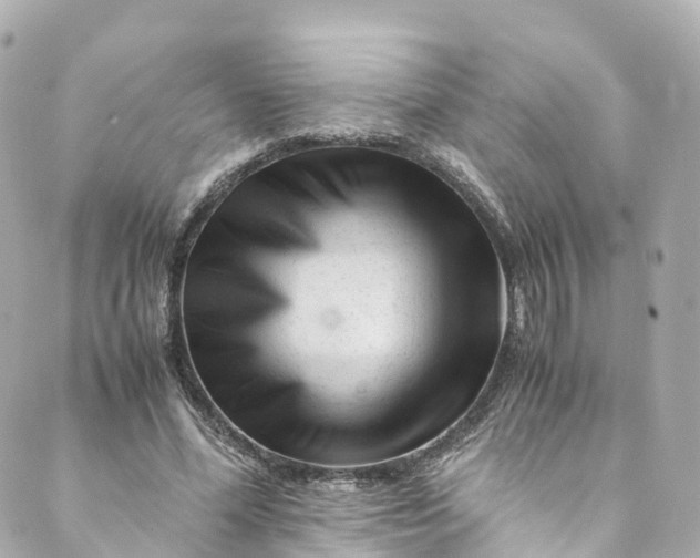 X0000088910588200706291531