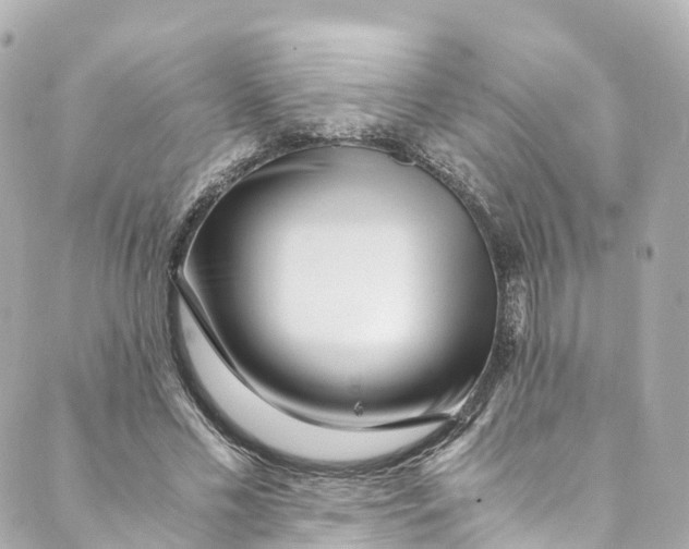 X0000088910589200706291531