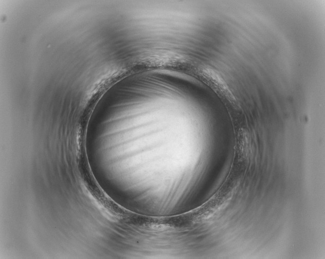 X0000088910590200706291531