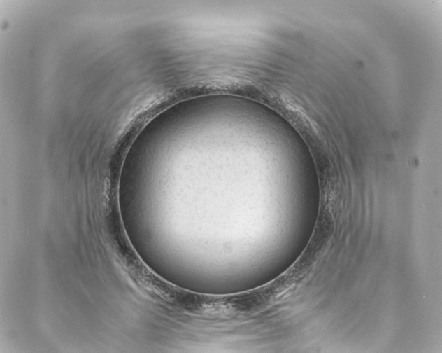 X0000088910591200706291531