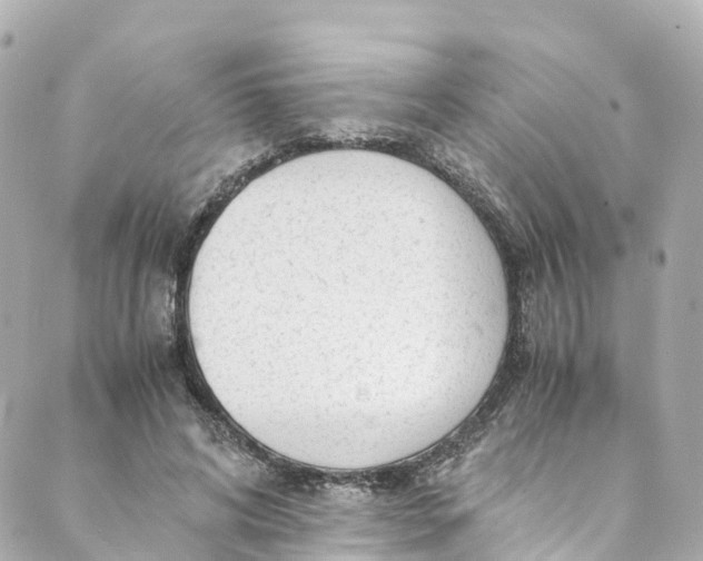 X0000088910592200706291531