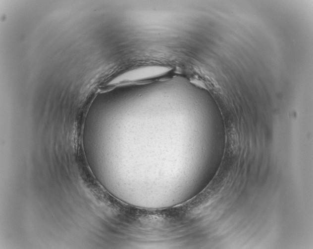 X0000088910594200706291531