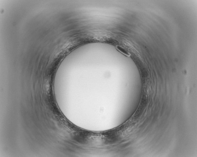 X0000088910595200706291531