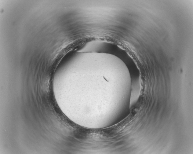 X0000088910596200706291531