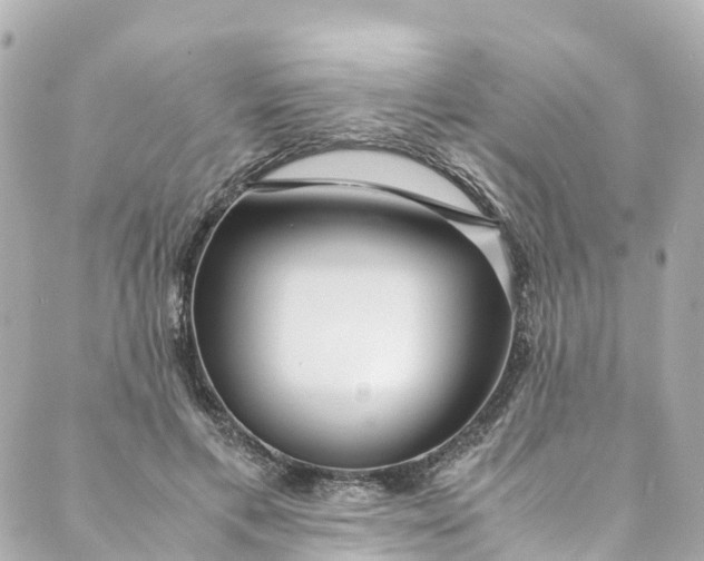 X0000088910597200706291531