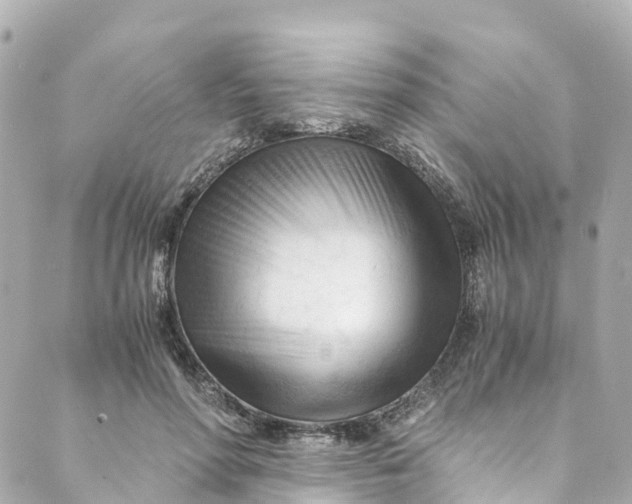 X0000088910598200706291531