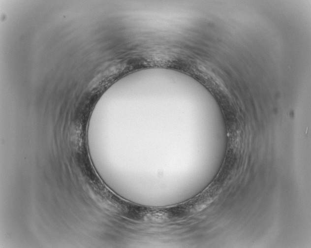 X0000088910599200706291531