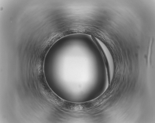 X0000088910600200706291531