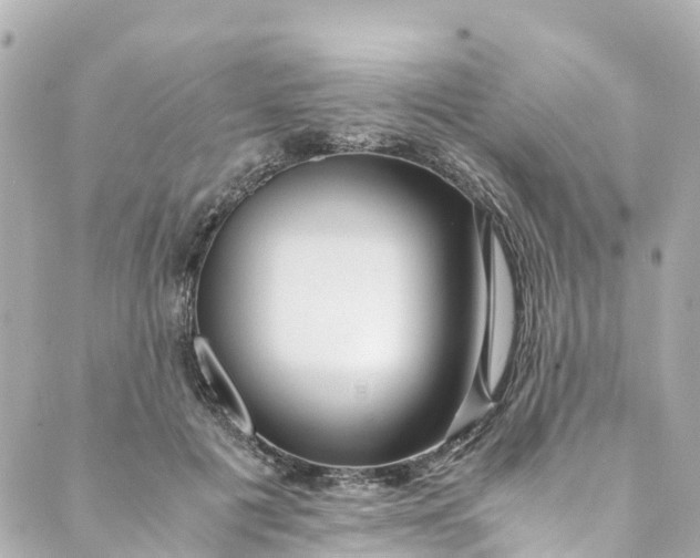 X0000088910601200706291531