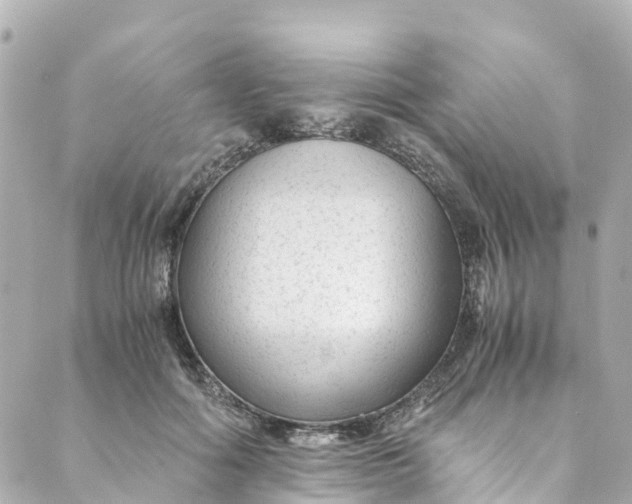 X0000088910602200706291531