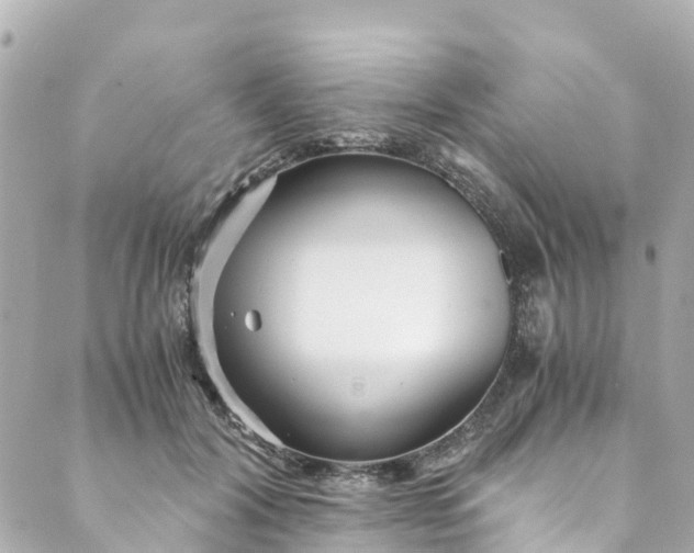 X0000088910604200706291531