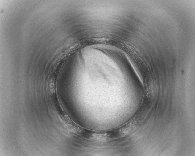 X0000088910606200706291531