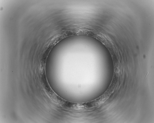 X0000088910607200706291531