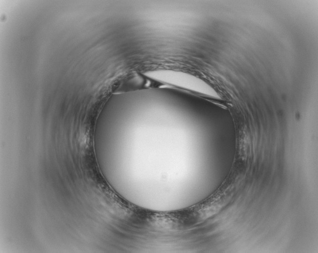 X0000088910608200706291531