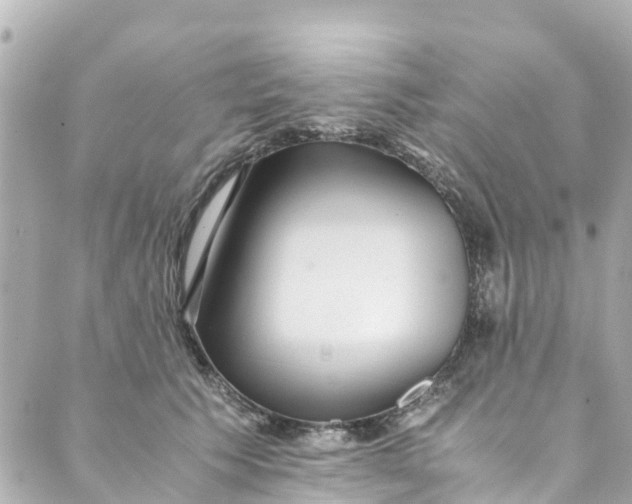 X0000088910609200706291531