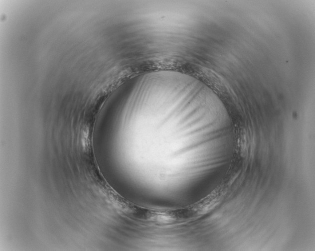 X0000088910610200706291531