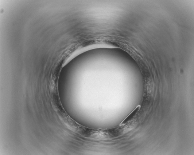 X0000088910611200706291531