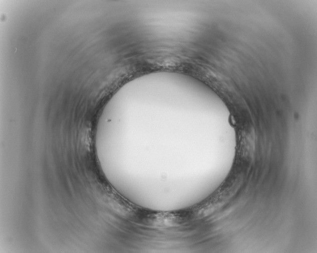 X0000088910612200706291531