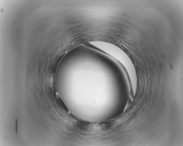 X0000088910613200706291531