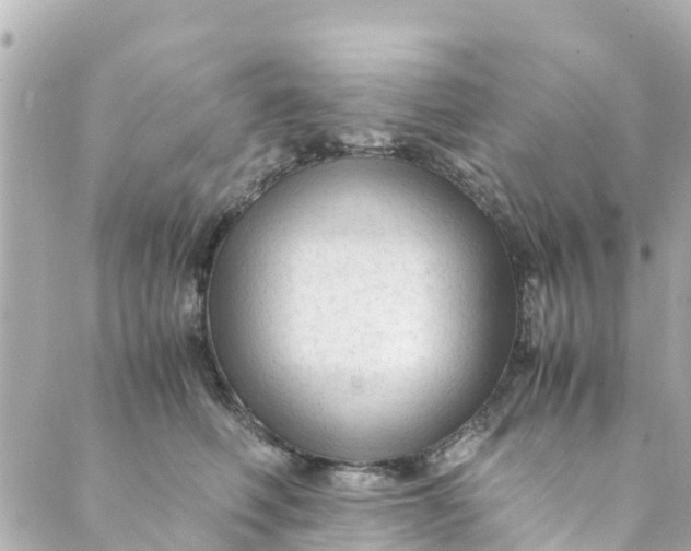 X0000088910614200706291531