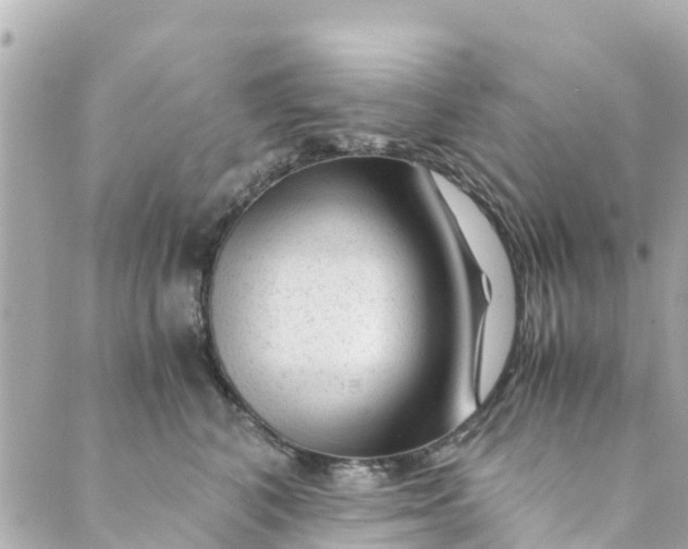 X0000088910616200706291531