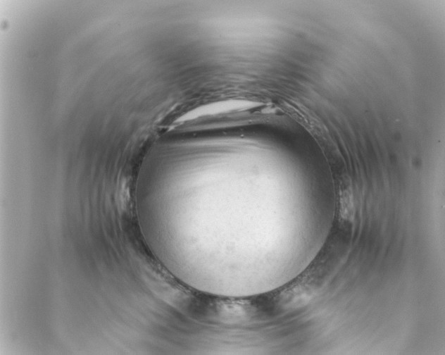 X0000088910618200706291531