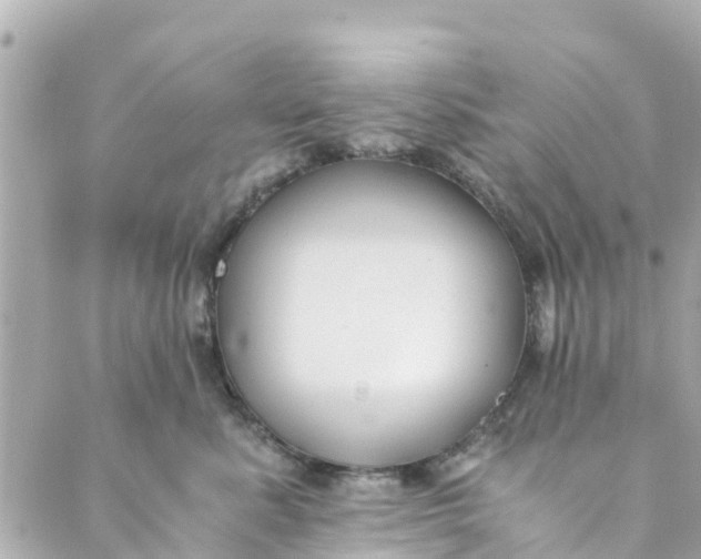 X0000088910619200706291531