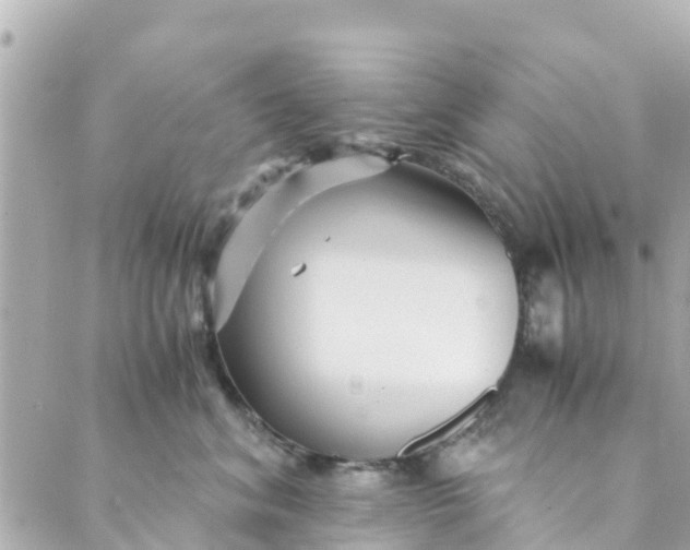 X0000088910620200706291531