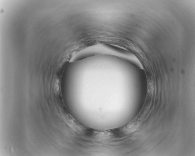 X0000088910621200706291531