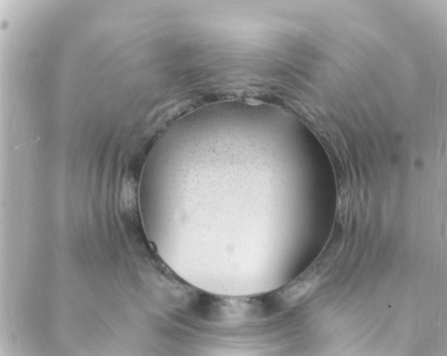 X0000088910623200706291531