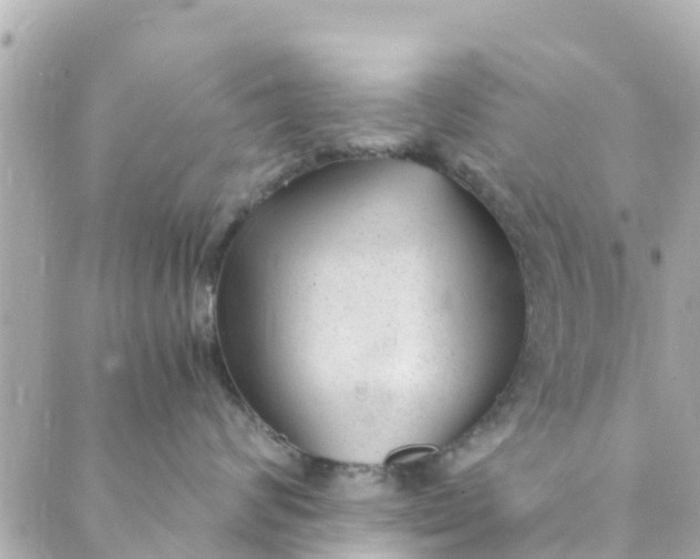 X0000088910624200706291531