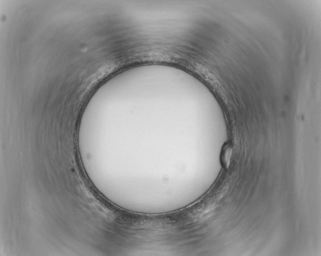 X0000088910625200706291530