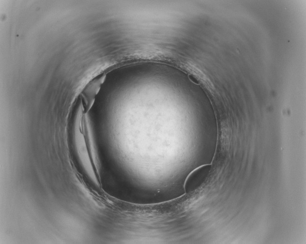 X0000088910626200706291530