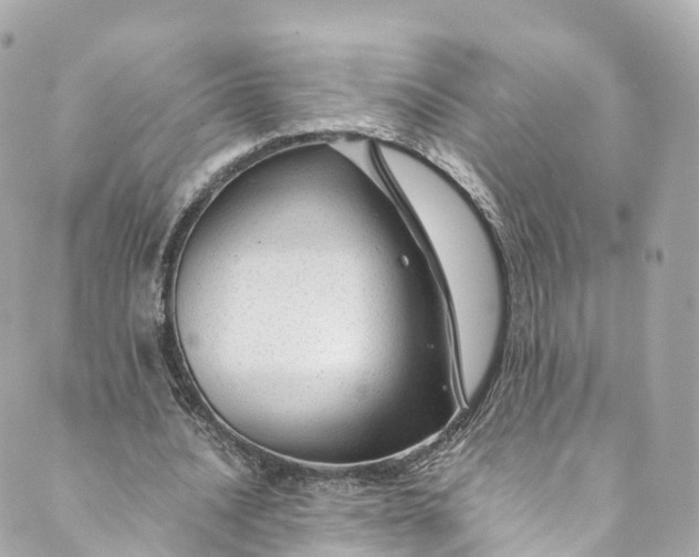 X0000088910628200706291530