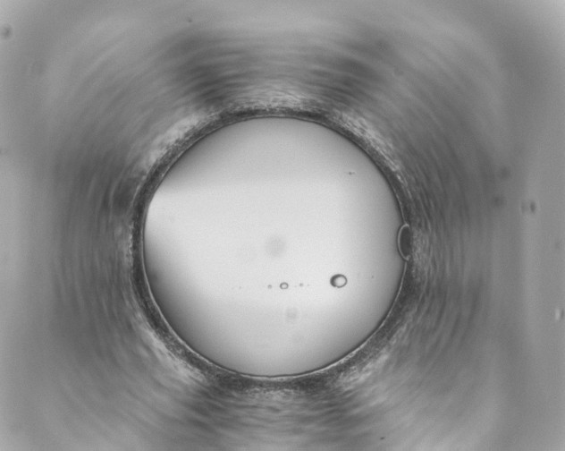 X0000088910629200706291530