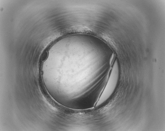 X0000088910630200706291530