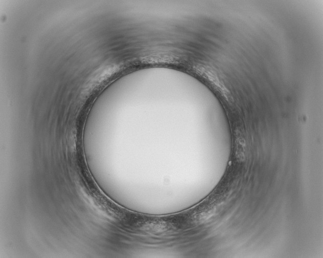 X0000088910631200706291530