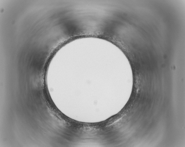 X0000088910632200706291530