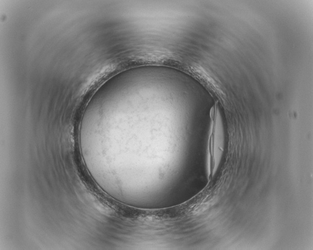 X0000088910634200706291530