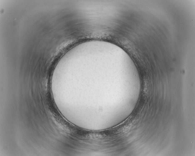 X0000088910636200706291530